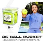 Franklin X-40 36-Pickleball Bucket (1)